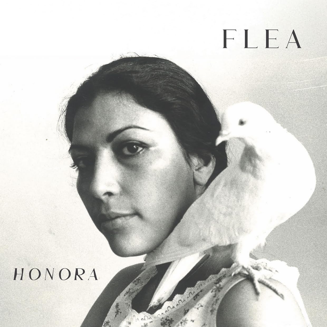 Flea - Honora